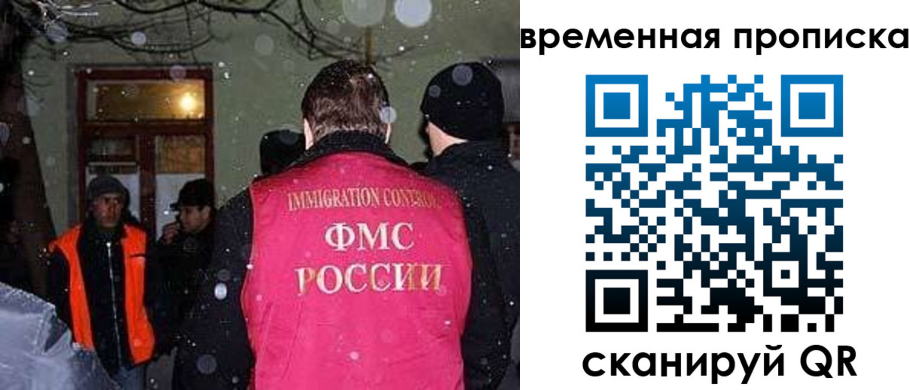 прописка поиск в Коле